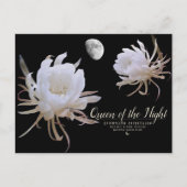 Queen of the Night ポストカード (正面)