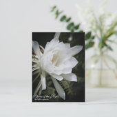 Queen of the Night ポストカード (スタンド正面)