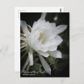 Queen of the Night ポストカード (正面/裏面)