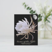 Queen of the Night ポストカード (スタンド正面)