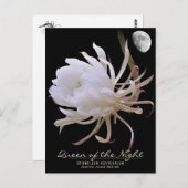 Queen of the Night ポストカード (正面/裏面)