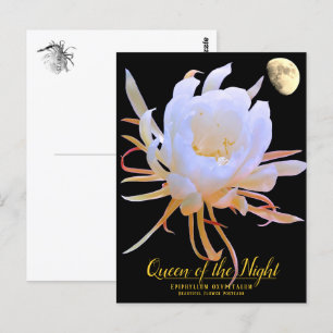 Queen of the Night ポストカード