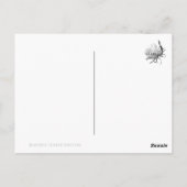 Queen of the Night ポストカード (裏面)