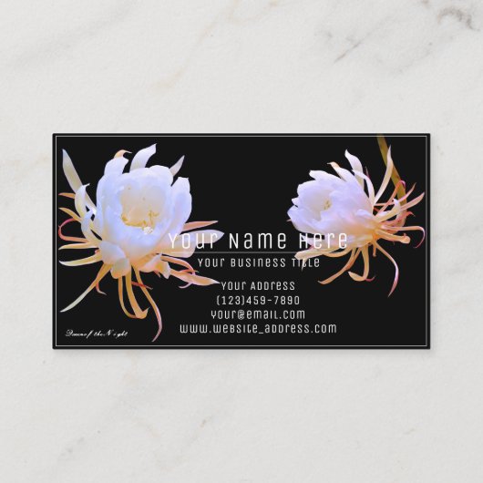 Queen of the Night 名刺 (裏面)