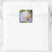 Queen of the Night：Square Seal スクエアシール (バッグ)