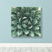 Queen Victoria agaveキャンバス印刷 キャンバスプリント (インサイチュ (ウッドフロア))