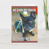 QueenFiFiハロウィンカード カード (正面)