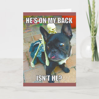 QueenFiFiハロウィンカード カード