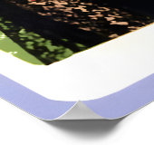 Queens of the Stone Age 2008 Concert Poster Print ポスター (角)