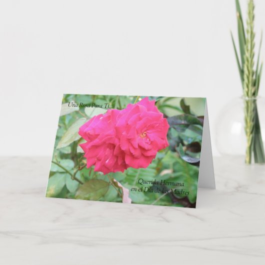 Querida Hermana Dia de Las Madres カード (正面)