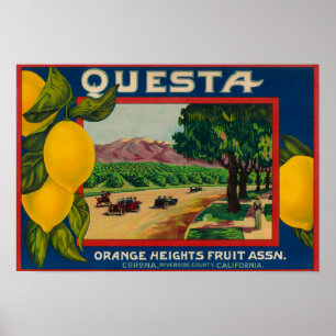 Questa Lemon LabelCorona(カリフォルニア州) ポスター