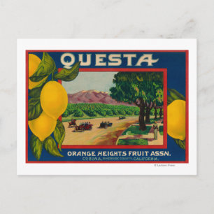 Questa Lemon LabelCorona(カリフォルニア州) ポストカード