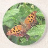 Question Mark Butterfly on Lantana コースター (正面)