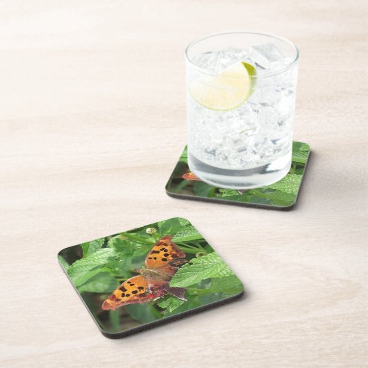 Question Mark Butterfly on Lantana コースター (右側)