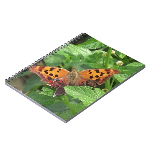 Question Mark Butterfly on Lantana ノートブック (左側)