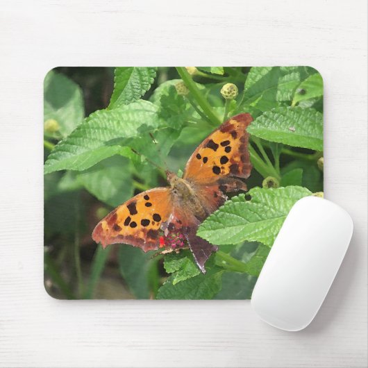 Question Mark Butterfly on Lantana マウスパッド (マウス)