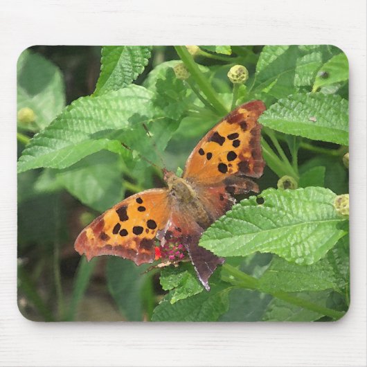 Question Mark Butterfly on Lantana マウスパッド (正面)