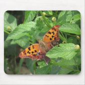 Question Mark Butterfly on Lantana マウスパッド (正面)