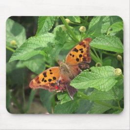 Question Mark Butterfly on Lantana マウスパッド