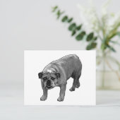 Quick Cheer Bulldog ポストカード (スタンド正面)