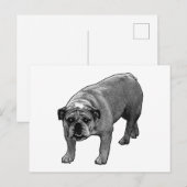 Quick Cheer Bulldog ポストカード (正面/裏面)