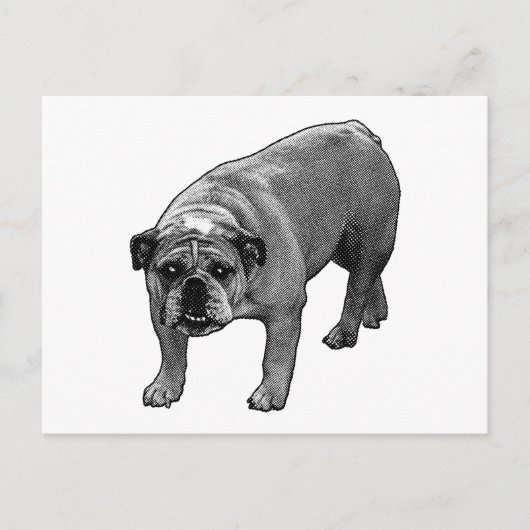 Quick Cheer Bulldog ポストカード (正面)