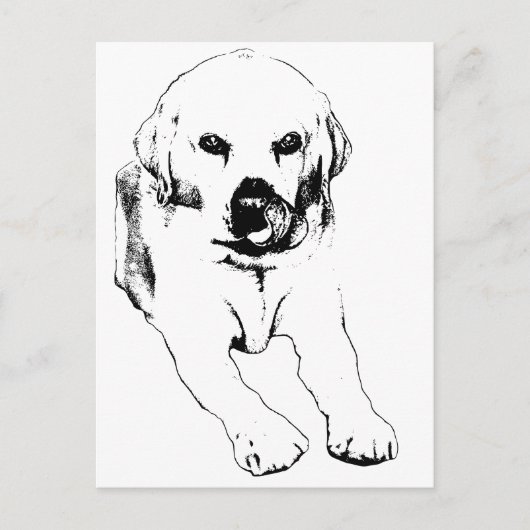 Quick hello from a Lab ポストカード (正面)