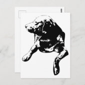 Quick Hello, Head-Turn Lab ポストカード (正面/裏面)