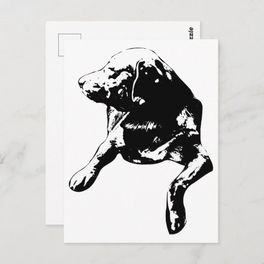 Quick Hello, Head-Turn Lab ポストカード (正面/裏面)