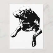 Quick Hello, Head-Turn Lab ポストカード (正面)