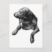 Quick Hello with Fine Dots ポストカード (正面)