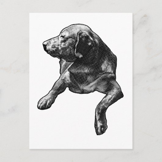 Quick Hello with Fine Dots ポストカード (正面)