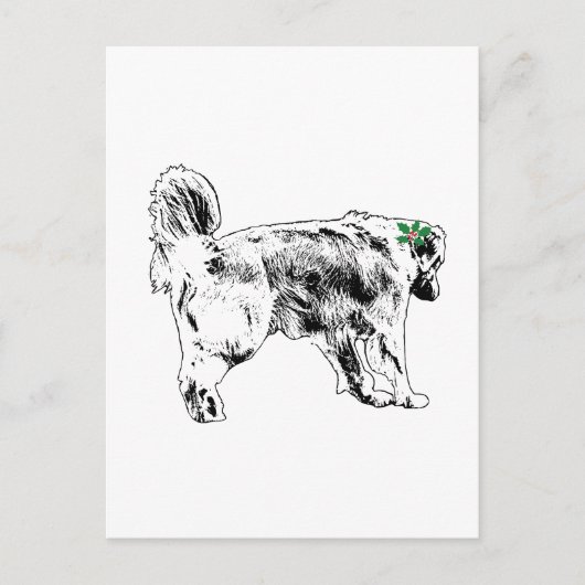 Quick Retriever Wish ポストカード (正面)