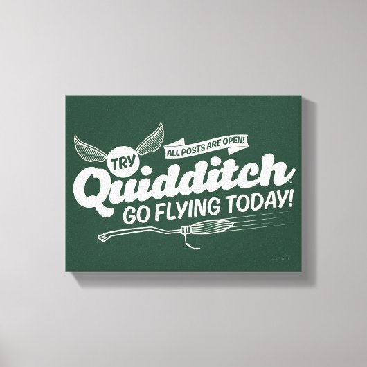 QUIDDITCH™募集ポスター キャンバスプリント (正面)