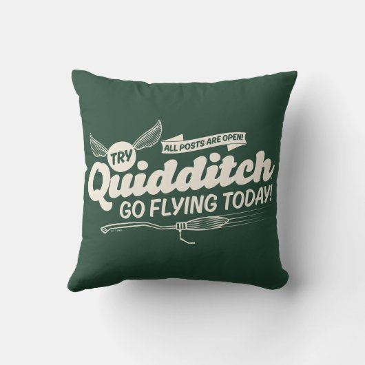 QUIDDITCH™募集ポスター クッション (裏面)