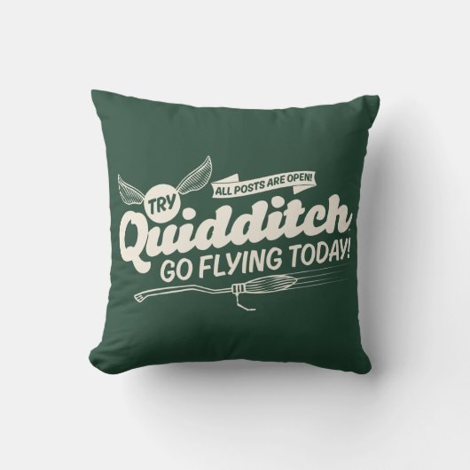 QUIDDITCH™募集ポスター クッション (正面)
