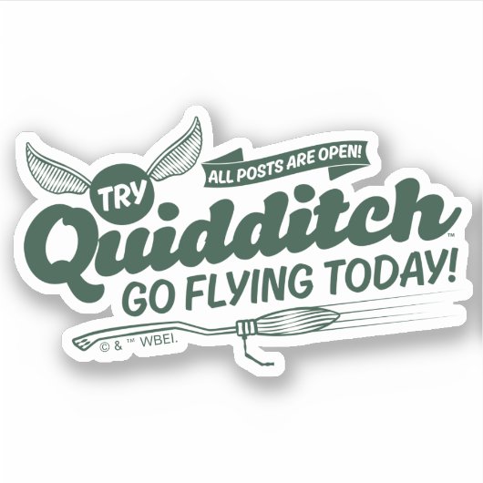 QUIDDITCH™募集ポスター シール (正面)