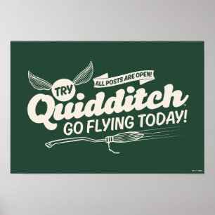 QUIDDITCH™募集ポスター ポスター