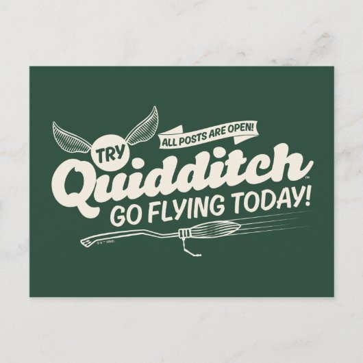 QUIDDITCH™募集ポスター ポストカード (正面)