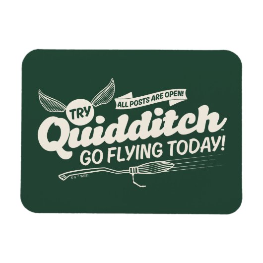 QUIDDITCH™募集ポスター マグネット (横)
