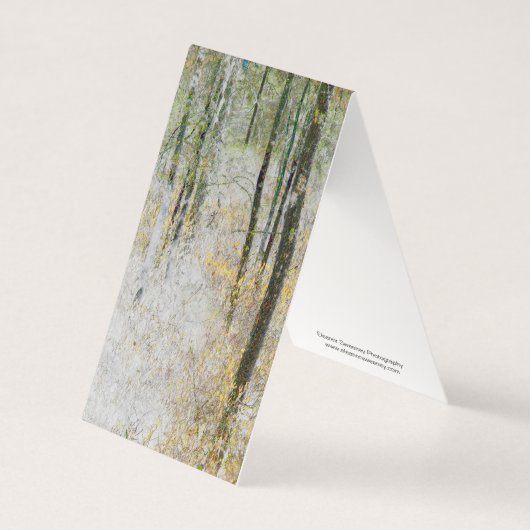 "Quiet" – 森の木々の写真を変換 (正面)