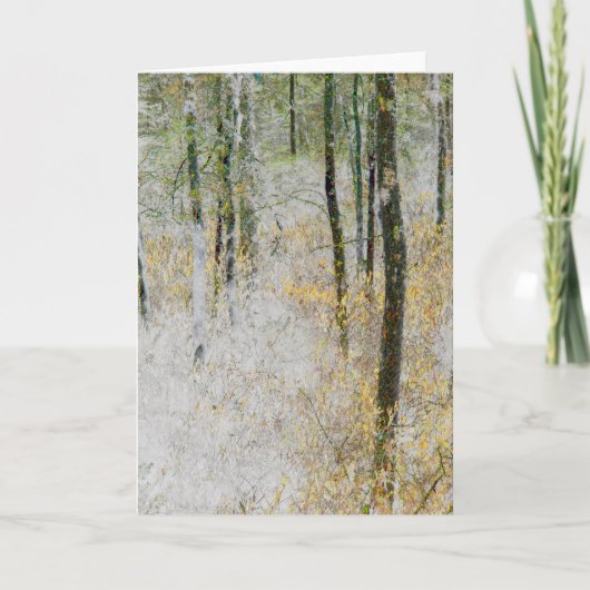 "Quiet" – 森の木々の写真を変換 カード (正面)