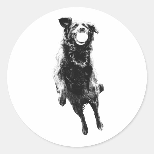 Quiet ball carry ラウンドシール (正面)