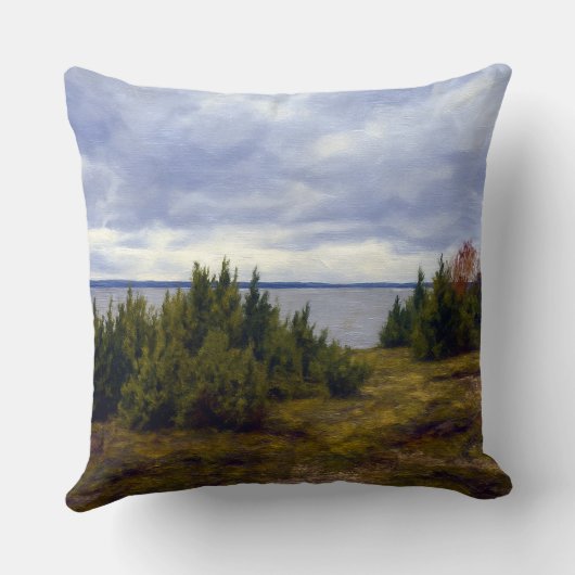 Quiet Coast of Vormsi クッション (裏面)