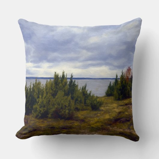 Quiet Coast of Vormsi クッション (正面)