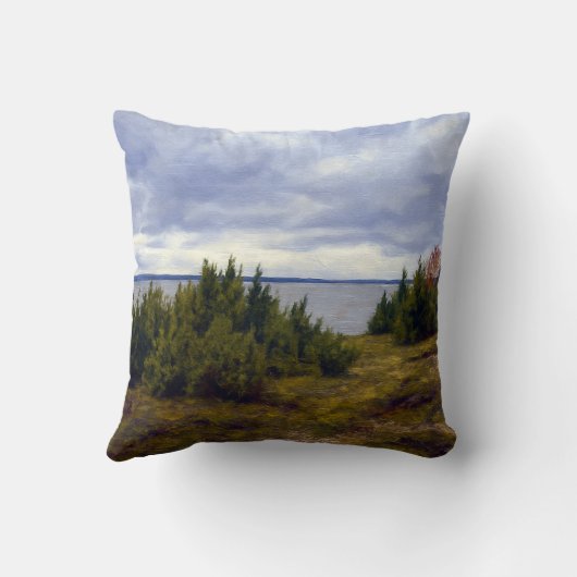 Quiet Coast of Vormsi クッション (裏面)