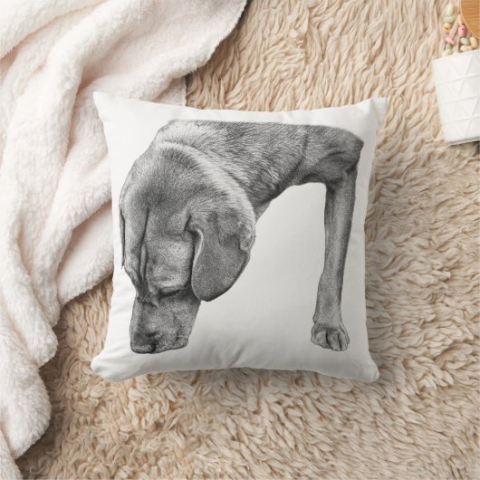 Quiet Corner, Nose Down クッション (ブランケット)