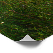 Quiet Dock in the Upper Peninsula ポスター (角)