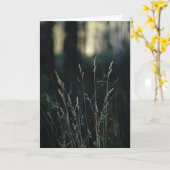Quiet Forest, Sympathy カード (黄色い花)