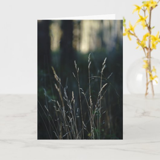 Quiet Forest, Sympathy カード (黄色い花)